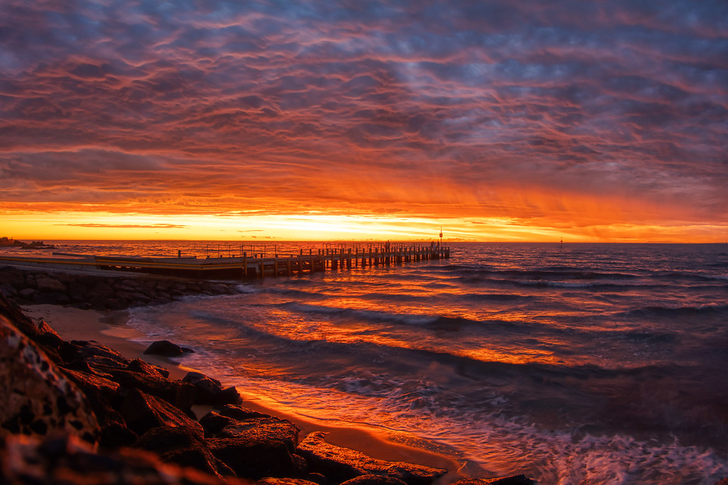 46972869104_db1c1c0aed_b