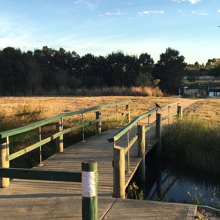 river-gum-creek-reserve river-gum-creek-reserve